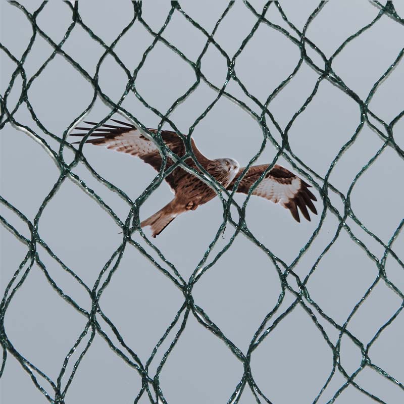 பறவை தடுப்பு வலைகளின் பொருள் தேர்வுகள் மற்றும் நன்மைகள் மற்றும் தீமைகள் என்ன?