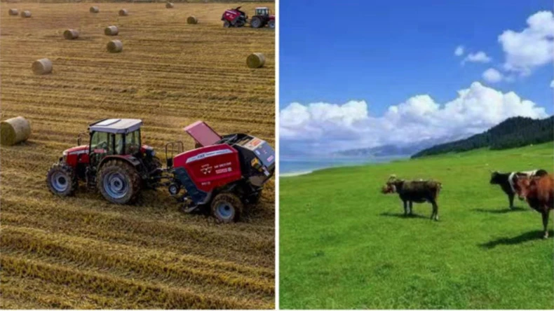 விவசாய நடவடிக்கைகளில் பேல் வலை மடக்கு பயன்பாடு