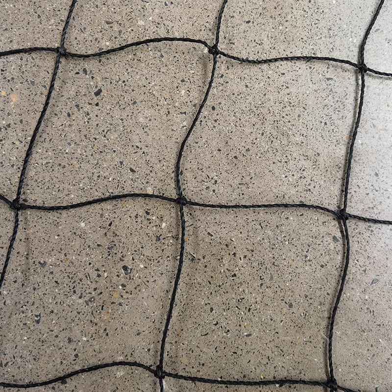 கிரிக்கெட் வலைகளின் பங்கு