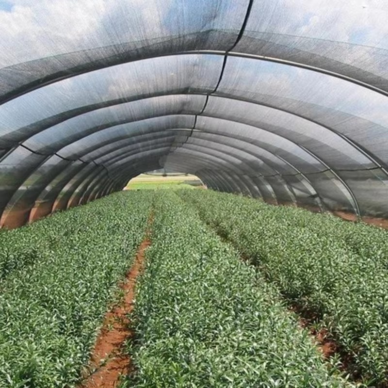 நிழல் துணியின் குளிர்ச்சி விளைவு நல்லதா?