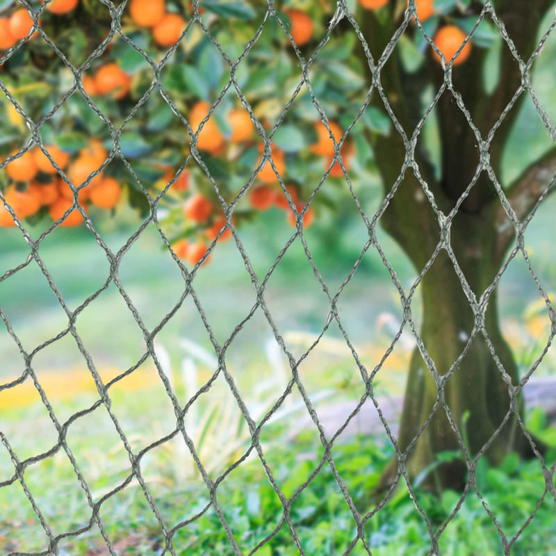 பறவை வலை விலங்கு தடைகள்