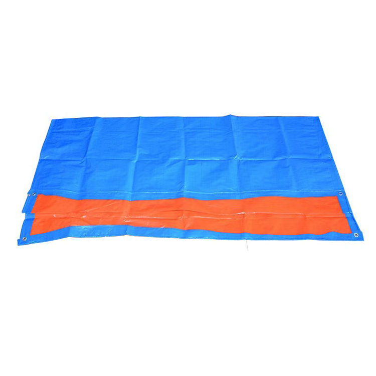 PE டைஸ் டாஸ்