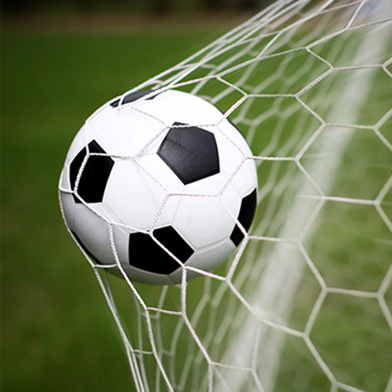 சாக்கர் ஃபீல்ட் நெட்